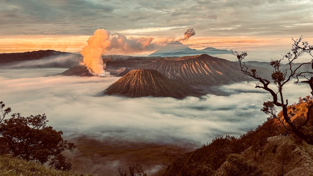 暑期“旅行专列”,让远方有景更有诗意